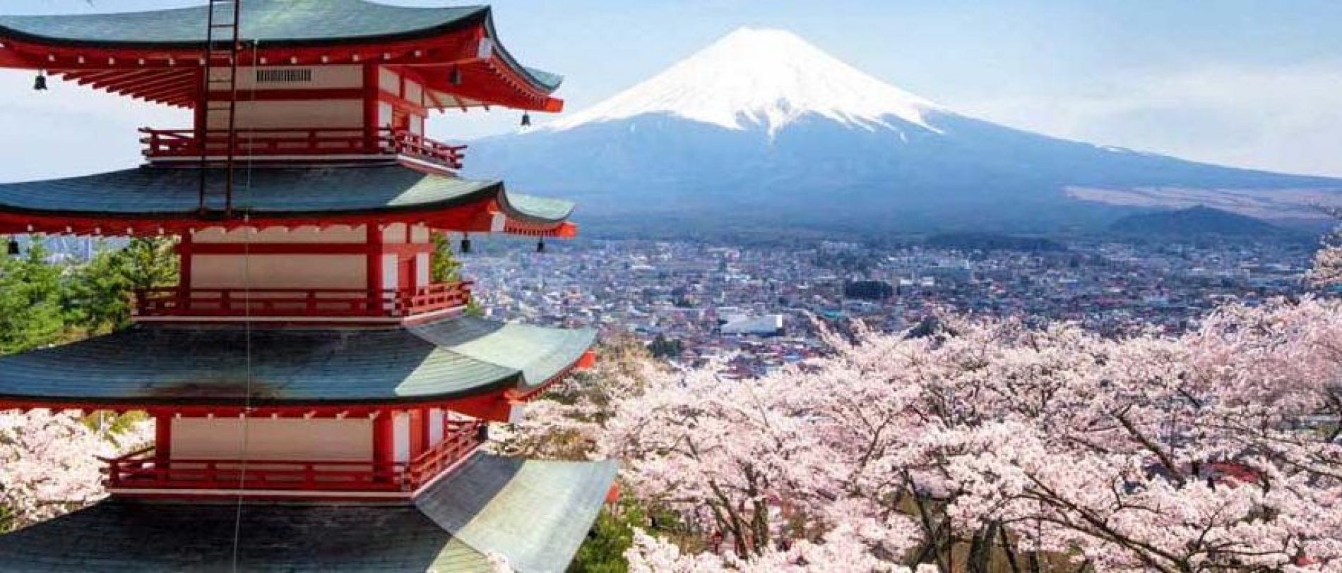 Voyage au Japon : comment faire des économies ?